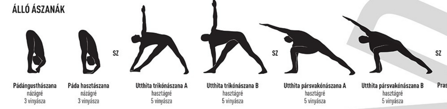 Astanga Vinyásza Jóga poszter (első sorozat)